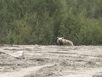 К Кильдину через Териберку: Мишаня нас проводил, вышли уверенно