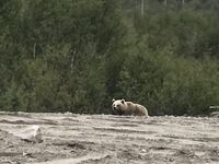 К Кильдину через Териберку: Мишаня нас проводил, вышли уверенно