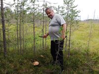 Маршрут Ярославль — Хибины — Апатиты — Териберка: шторм 17.08 и запрет до 22.08