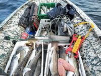 Север Кильдина, банка 100–120 м: рабочая глубина и проверенные точки