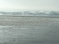 «Съездил — сфотографировал»: фиксация обстановки у Териберки