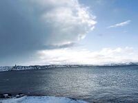 «Растаяло всё»: ловля по открытой воде в ожидании следующего окна