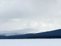 Снег сыплет и белое безмолвие: снежики по Джеку Лондону вместо моря