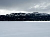Снег сыплет и белое безмолвие: снежики по Джеку Лондону вместо моря