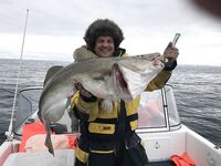 Без хамства и с иронией: про катер и «народ в гостиницах не тот», Териберка