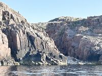 Глубины 120–150 м, треска до 6 кг, Азимут 350 — первый выезд в Териберке