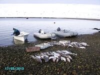 Баренцево море — позиция по сезонам и рискам, резюме