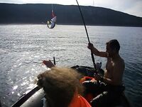 Баренцево море летом и весной: аргументы за лето для новичков