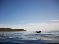 Баренцево море летом и весной: аргументы за лето для новичков