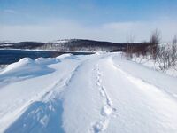 Баренцево море — Белокаменка вчера: грустная картинка