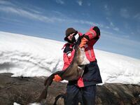 Баренцево море — спасибо Александру, два отличных дня