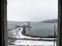 Баренцево море, Мишуково — пирс, вид на залив и грибы рядом