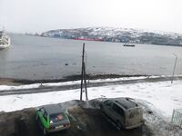 Баренцево море, Мишуково — пирс, вид на залив и грибы рядом