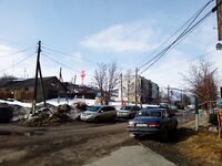 Баренцево море, Мишуково — пирс, вид на залив и грибы рядом