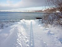 Баренцево море — слипы чистят, Североморск без проблем, но желающих мало