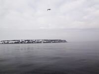 Баренцево море — 26.04, Росляково → Кильдин: 95–120 м, рыба на СВ