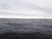 Баренцево море — 26.04, Росляково → Кильдин: 95–120 м, рыба на СВ