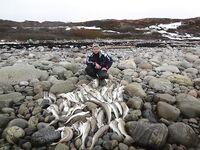 Баренцево море — 26.04, Росляково → Кильдин: 95–120 м, рыба на СВ