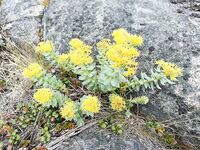 Кильдин на днях: красота — короткий отчёт