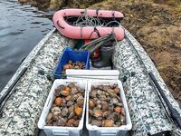 Кильдин на днях: красота — короткий отчёт