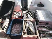 «Штанами ловится»: за 4 часа на четверых — весной не мучаемся