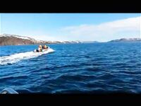 «Поеду позже»: тему по Ура-Губе скрыли — непонятно зачем