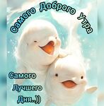 Коптят «с головой»: способ засолки без мудрёности