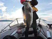 Норвегия уже хвастается 2025, Кольский оживает с апреля