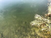 Будапешт, ветер и +4° утром: первый бас на 400, потом тишина