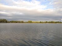 Будапешт — двухнедельный отчёт: Wizzair, Délegyháza и Omszki-tó, лицензии