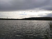 Будапешт — двухнедельный отчёт: Wizzair, Délegyháza и Omszki-tó, лицензии