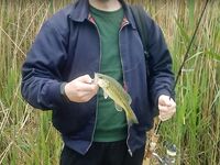 Венгрия, Omszki-tó — отчёт: дождь сорвал день, фотки приложил