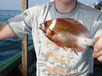 Бенгальский залив, Мьянма — «маленькая» рыбалка на чёрных камнях