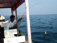 Бенгальский залив, Мьянма — «маленькая» рыбалка на чёрных камнях