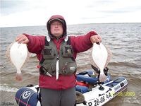 Белое море — летняя камбала: приливы, якорь и постукивание по дну