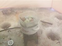 Белое море, Луда — первая «новага»: ночной выезд, палатка и плитка