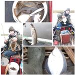 Белое море, Сафроновская губа: крупная камбала и много корюха