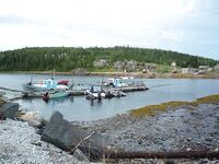 Белое море, Карелия — Сидоров, белые ночи, пескожил и пертуй