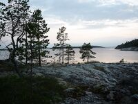 Белое море, Карелия — Сидоров, белые ночи, пескожил и пертуй