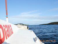 Дорога в Никольскую: Чупа, «Малая Медвежка» и треска с пристани