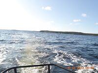 Дорога в Никольскую: Чупа, «Малая Медвежка» и треска с пристани