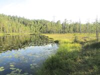 Дорога в Никольскую: Чупа, «Малая Медвежка» и треска с пристани