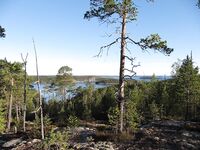 Кадр из поездки: вложение добавлено