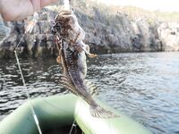 Немного фото с выезда: Чупа — острова — стоянки