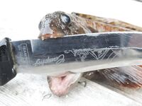 Немного фото с выезда: Чупа — острова — стоянки