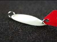 Чупа и Чкаловский: вопросы по бензину и снастям на треску