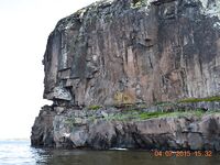 Дом дедушки у стоянки и точки по Летней: мидии и пескожил