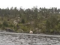 Старый паром, остров Горелый и морская капуста по рецепту