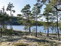 Малый Медведок: белухи, морские зайцы и зубатка-змеюка