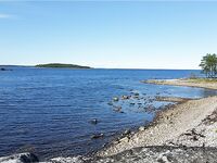 Малый Медведок: белухи, морские зайцы и зубатка-змеюка